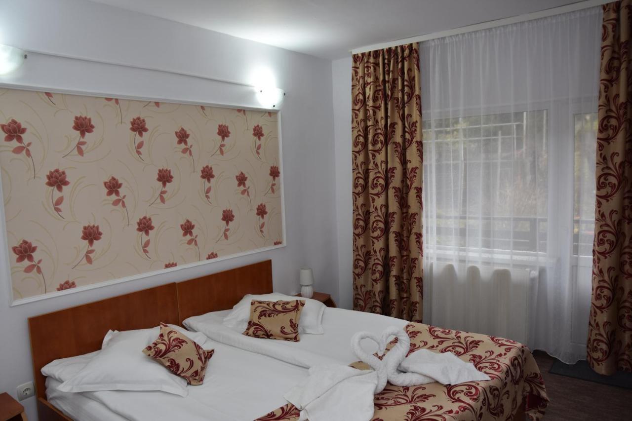 Pensiunea Steluta Predeal Exterior foto